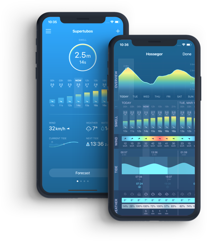 Epic: Spot & Forecast
